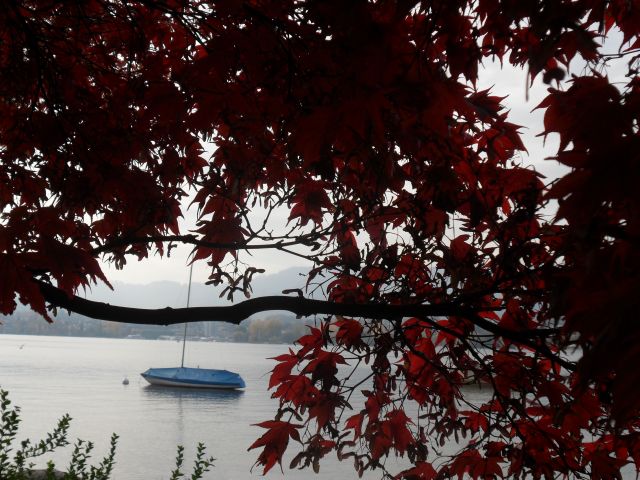 Zdjęcia: Zurych, Zurichsee, SZWAJCARIA Zdjęcia: Zurych, Zurichsee, SZWAJCARIA