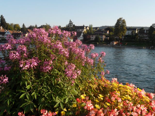 Zdjęcia: Stein am Rhein, Stein am Rhein, SZWAJCARIA Zdjęcia: Stein am Rhein, Stein am Rhein, SZWAJCARIA