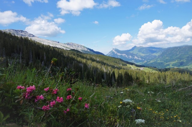 Zdj cia: Entlebuch, Kanton Luzern, Góry i łąka, SZWAJCARIA Zdj cia: Entlebuch, Kanton Luzern, Góry i łąka, SZWAJCARIA