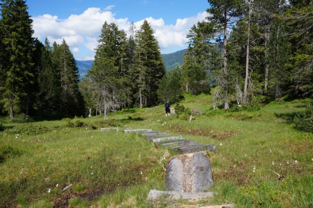 Zdj cia: Entlebuch, Kanton Luzern, Torfowisko, SZWAJCARIA Zdj cia: Entlebuch, Kanton Luzern, Torfowisko, SZWAJCARIA