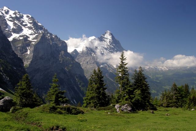 Zdjęcia: Grindelwald, Jungfrau, Swiss2, SZWAJCARIA Zdjęcia: Grindelwald, Jungfrau, Swiss2, SZWAJCARIA