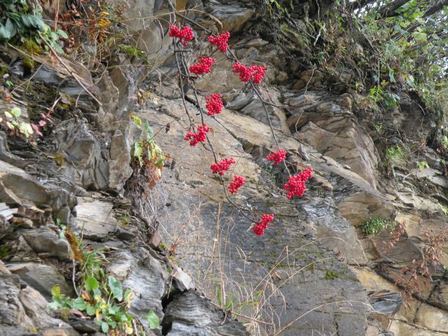 Zdjęcia: Les Crosetes, Valais, Moje wedrowanie, SZWAJCARIA Zdjęcia: Les Crosetes, Valais, Moje wedrowanie, SZWAJCARIA
