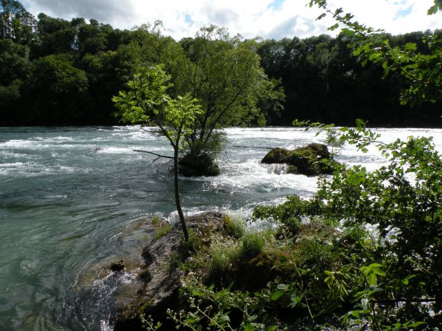 Zdjęcia: Rheinfall, Granica Kantonow Szafuza i Zurich, Moje wedrowanie, SZWAJCARIA Zdjęcia: Rheinfall, Granica Kantonow Szafuza i Zurich, Moje wedrowanie, SZWAJCARIA