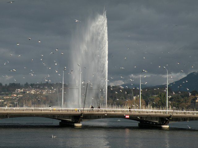 Zdjęcia: Fontanna, Geneve, Geneve, SZWAJCARIA Zdjęcia: Fontanna, Geneve, Geneve, SZWAJCARIA