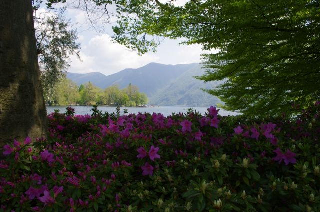 Zdjęcia: Lugano, Lugano, SZWAJCARIA Zdjęcia: Lugano, Lugano, SZWAJCARIA