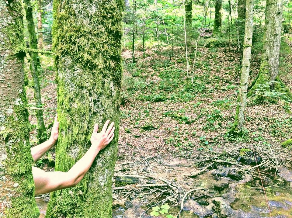 Zdjęcia: Môtiers, Neuchâtel, Forrest, SZWAJCARIA Zdjęcia: Môtiers, Neuchâtel, Forrest, SZWAJCARIA