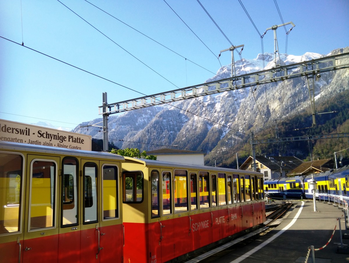 Zdjęcia: Grinderwald, Grinderwald, Kolejka na Jungfrau, SZWAJCARIA Zdjęcia: Grinderwald, Grinderwald, Kolejka na Jungfrau, SZWAJCARIA