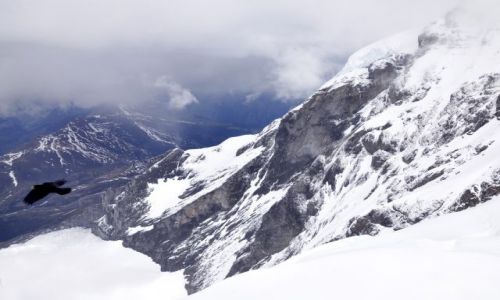 Zdjecie SZWAJCARIA / Alpy Berneskie / Jungfrau / Widok z Jungfrau