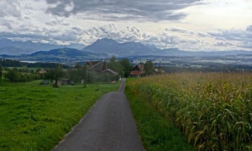 Zdjecie SZWAJCARIA / Ch / Ch / Alpy Urnenskie