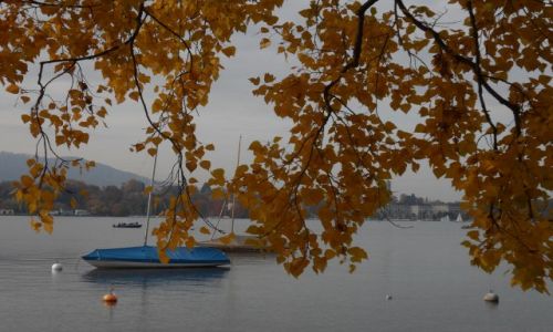 Zdjcie SZWAJCARIA / - / Zurych / Zurichsee