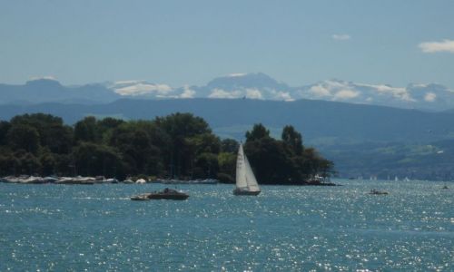 Zdjcie SZWAJCARIA / - / Zurych / Zurichsee