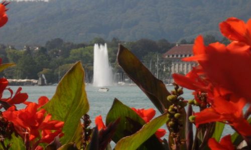 Zdjęcie SZWAJCARIA / - / Zurich / Zurichsee