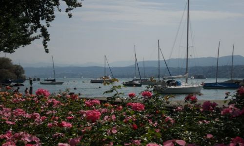 Zdjęcie SZWAJCARIA / - / Zurich / Zurichsee