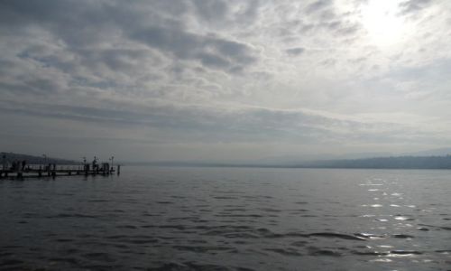 Zdjęcie SZWAJCARIA / - / Zurich / Zurichsee