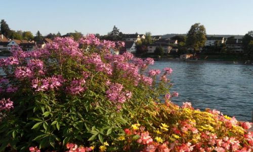 Zdjcie SZWAJCARIA / - / Stein am Rhein / Stein am Rhein