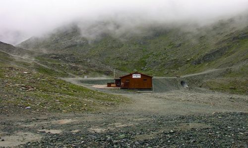 Zdjecie SZWAJCARIA / Valais / Gdzie� po drodze pomi�dzy Zermatt a Klein Matte / Gdzie� po drodze by�o s�ycha� gwizd �wistak�w. 