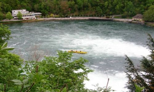 Zdjcie SZWAJCARIA / - / Schaffhausen Rheinfall  / Wodospad na Renie 1