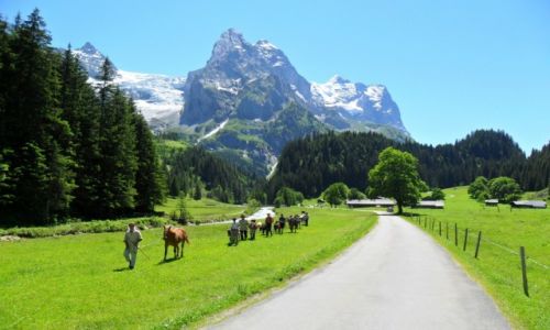 Zdjecie SZWAJCARIA / -oberland / Eiger / eiger
