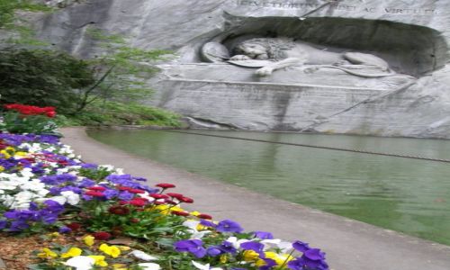 Zdjecie SZWAJCARIA / Kanton Lucerna / Lucerna  / picy Lew