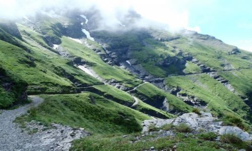 Zdjecie SZWAJCARIA / Vaud / Javern / Poszatkowane zbocza w drodze na Rionde