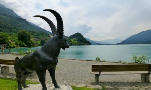 Zdjecie SZWAJCARIA / okolice Interlaken / Jezioro Brienzer / symbol miasteczka Iseltwald
