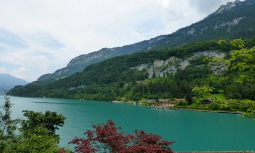 Zdjecie SZWAJCARIA / okolice Interlaken / Iseltwald / szmaragdowa woda jeziora Brienzer