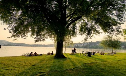 Zdjęcie SZWAJCARIA / Lucerna / nad Jez.Czterech Kantonów / podwieczorek na trawie w Lucernie