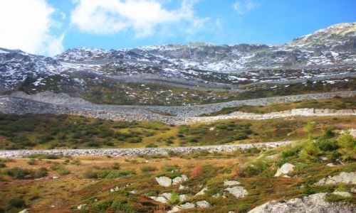 Zdjęcie SZWAJCARIA / brak / przed celem- fiesch / to moje klimaty