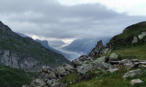 Zdjęcie SZWAJCARIA / Alpy Berneńskie / Bettmerhorn / Lodowiec Aletsch
