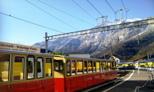 Zdjęcie SZWAJCARIA / Grinderwald / Grinderwald / Kolejka na Jungfrau