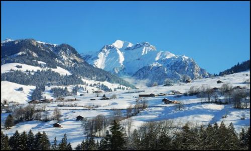 Zdjcie SZWAJCARIA / kanton bern / Thun / alpejski widok