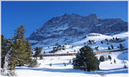 Zdjęcie SZWAJCARIA / wallis / alpy / widoczek alpejski