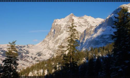 Zdjęcie SZWAJCARIA / wallis / alpy / widoczek alpejski