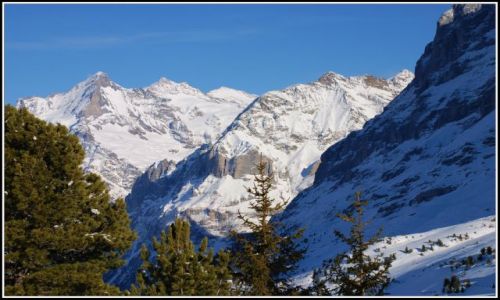 Zdjęcie SZWAJCARIA / wallis / alpy / widoczek alpejski