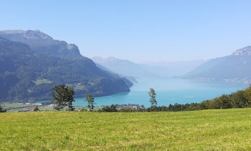 Zdjecie SZWAJCARIA / Interlaken / Interlaken / Nocleg na dziko