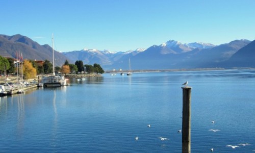 Zdjecie SZWAJCARIA / Ticino / Locarno / Lago Maggiore...
