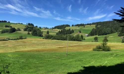 Zdjecie SZWAJCARIA / - / Entlebuch / Szwajcarskie ki