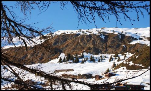 Zdjęcie SZWAJCARIA / wallis / Riederalp / alpejski widok