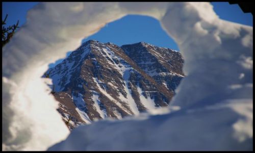 Zdjecie SZWAJCARIA / wallis / Riederalp / alpejski widok