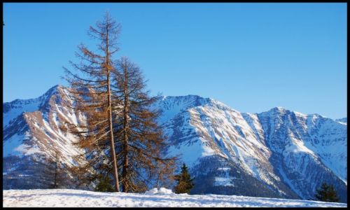 Zdjęcie SZWAJCARIA / wallis / Riederalp / alpejski widok