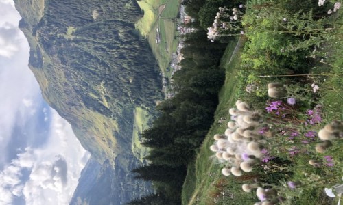 Zdjecie SZWAJCARIA / Ticino  / Faido / Beautiful Switzerland 