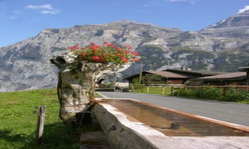 Zdjecie SZWAJCARIA / brak / Interlaken / Na trasie