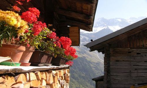 Zdjecie SZWAJCARIA / brak / Interlaken / Kwiaty