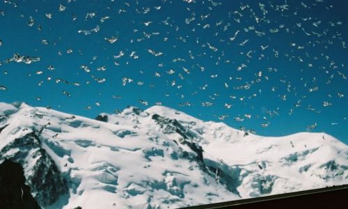 Zdjecie SZWAJCARIA / Alpy / Chamonix / Mont Blanc 