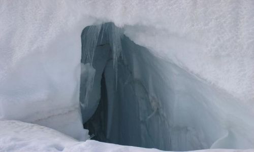 Zdjecie SZWAJCARIA / Alpy Berneńskie  / Przełęcz Jungfraujoch / Widoczek 5