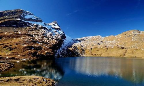 Zdjęcie SZWAJCARIA / brak / Bachalpsee / Bachalpsee
