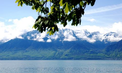 Zdjęcie SZWAJCARIA / brak / Vevey / jezioro genewskie