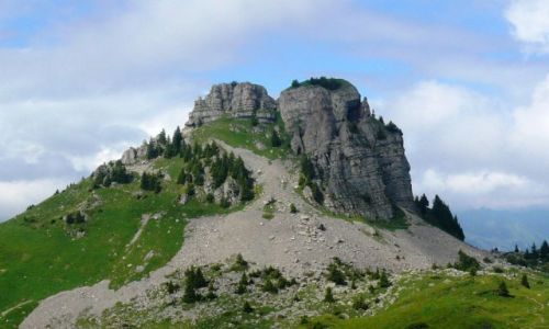 Zdjęcie SZWAJCARIA / Oberland / Schynige Platte / Szwajcaria