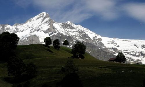 Zdjęcie SZWAJCARIA / Jungfrau / Grindelwald / Swiss6