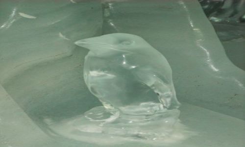 Zdj�cie SZWAJCARIA / brak / Jungfraujoch / Pa�ac lodowy 3